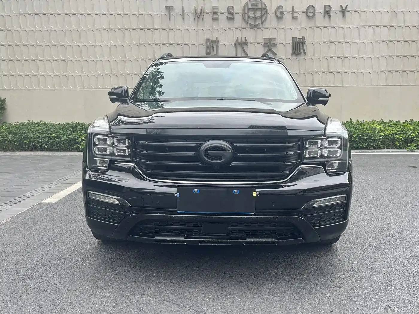 GAC Trumpchi Trumpchi GS8 2017 320T 2WD Luxury Smart Connect (7-seater) фото 2