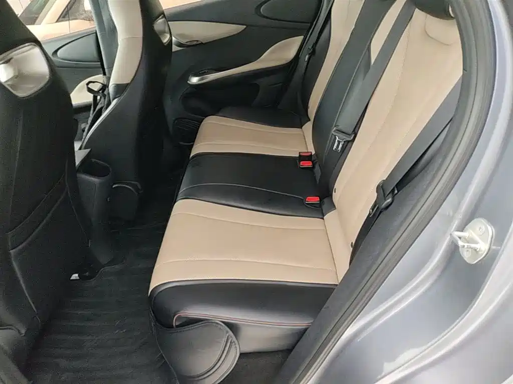 BYD Dolphin 2023 420km Freedom Edition фото 17