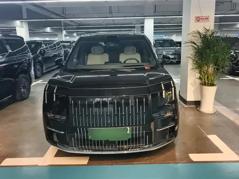 ZEEKR EXTREME KRYPTON 009