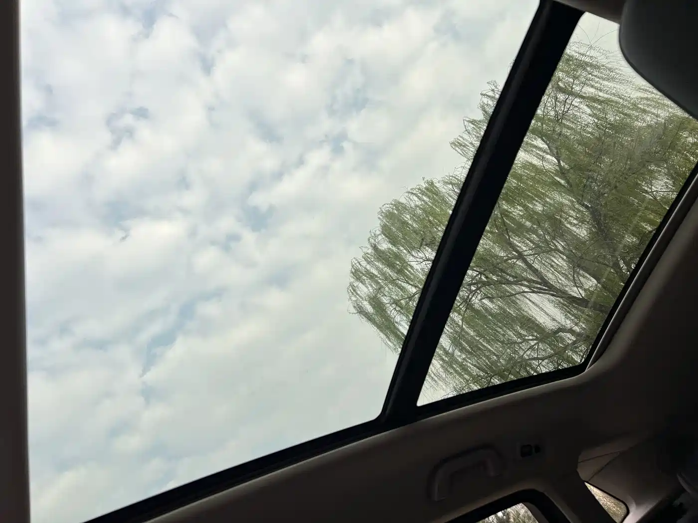 WEI PAI WEI BRAND VV7