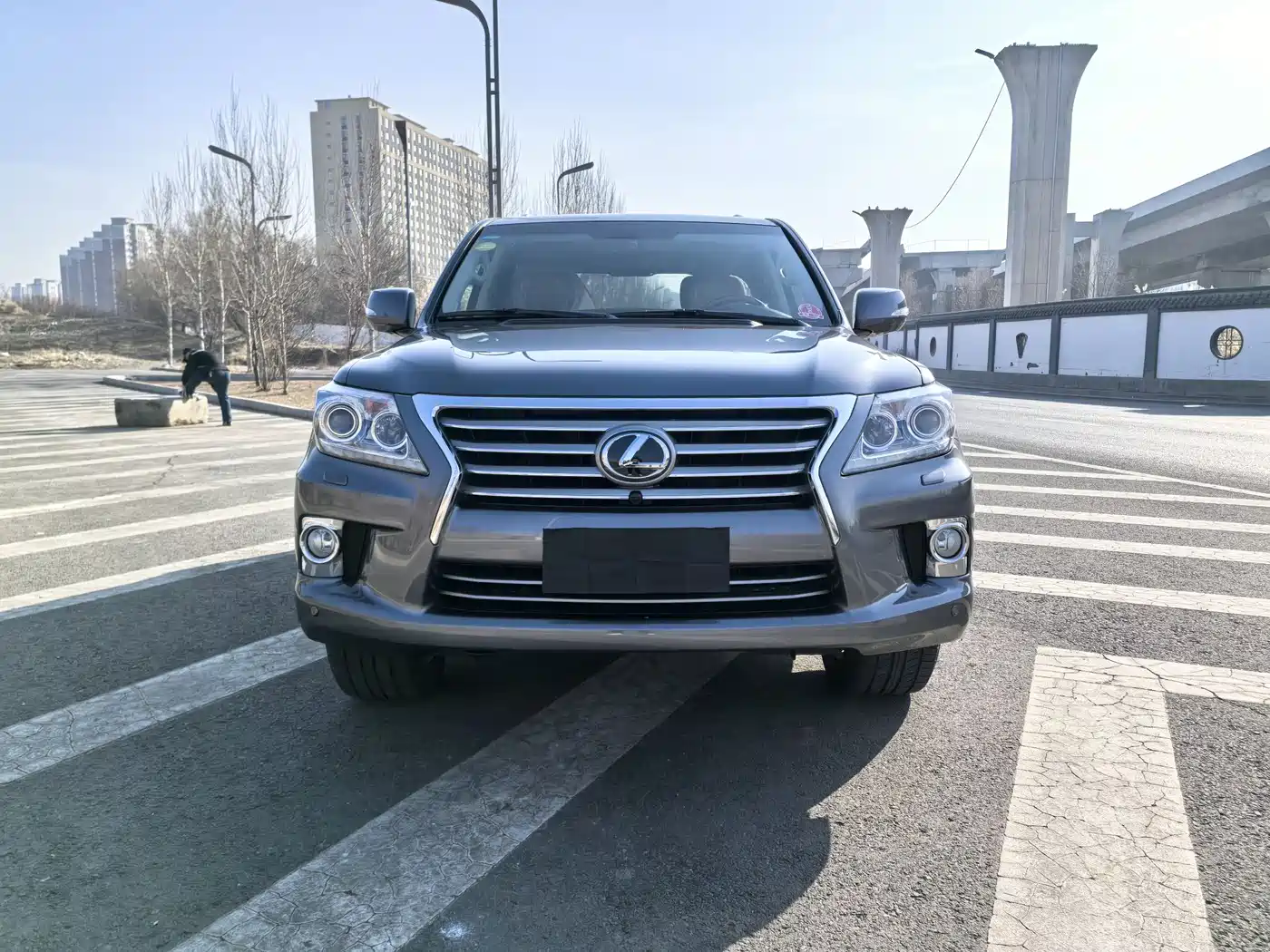 Lexus LX 2013 570 фото 2