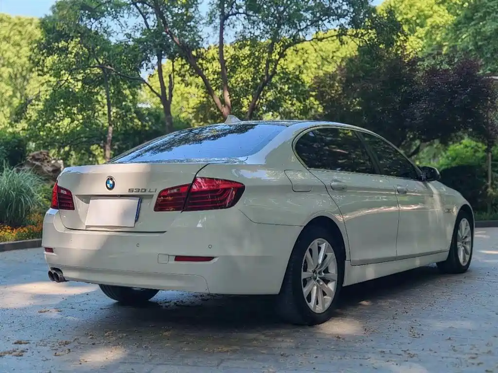 BMW 5 Series 2014 530Li Leading фото 6