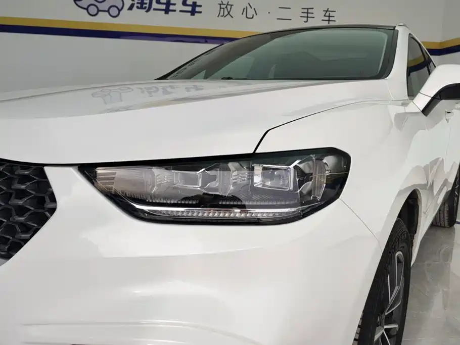 2021 WEY VV5