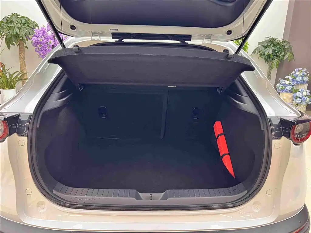 Mazda CX-30 EV 2023 2021 Pure Electric Enjoyment Edition