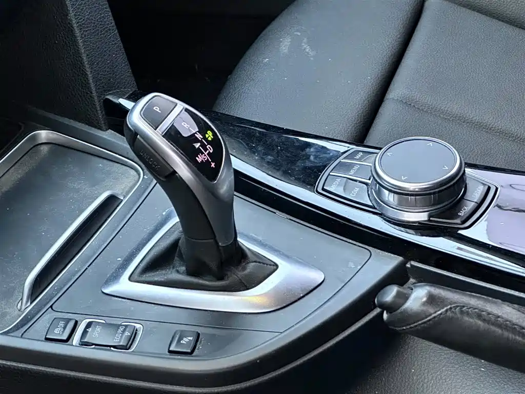 BMW 3 Series 2019 320Li M Sport Black Night Edition фото 11