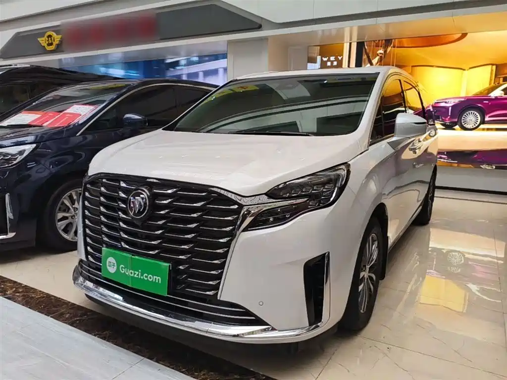 Buick GL8 2022 ES Landmark 653T Premium фото 2