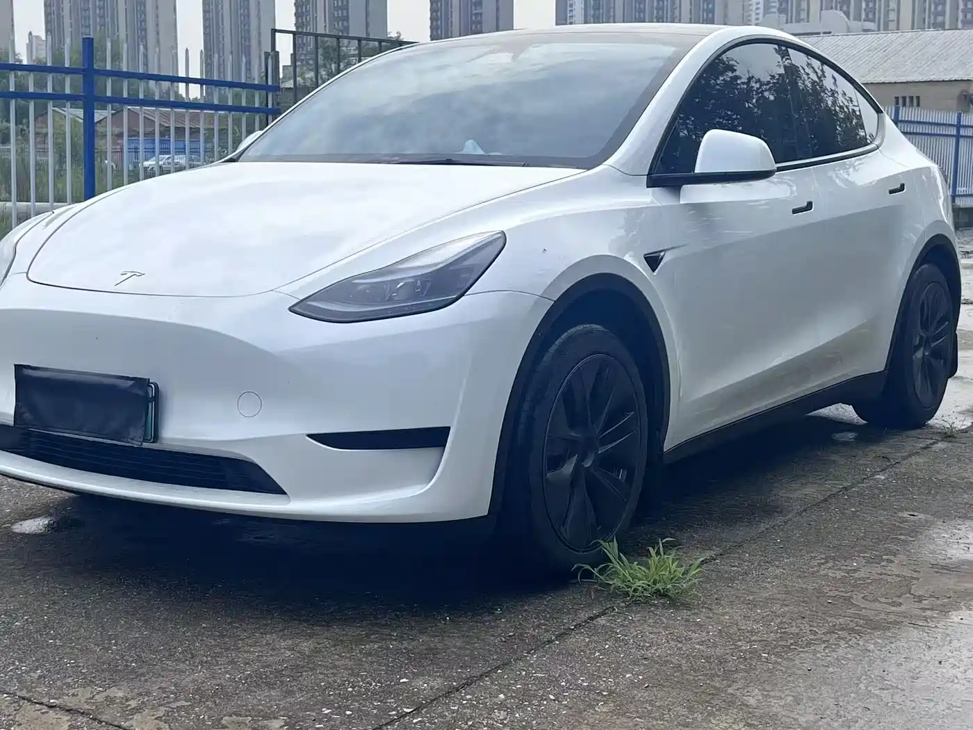 Tesla Model Y 2024 Rear-Wheel Drive Version