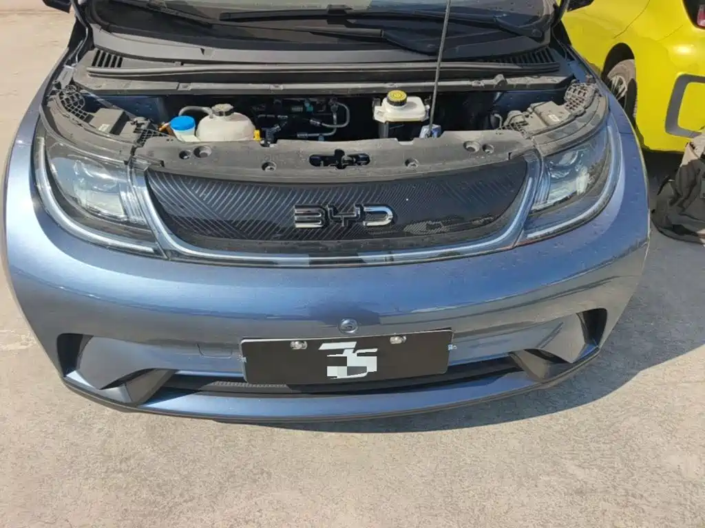 BYD Dolphin 2026 2025 420km Freedom Edition