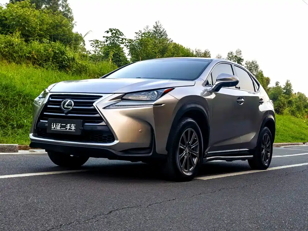 Фото 1 - Lexus NX