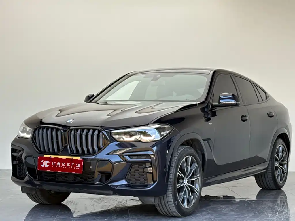 BMW X6 2023 xDrive30i M Sport Package