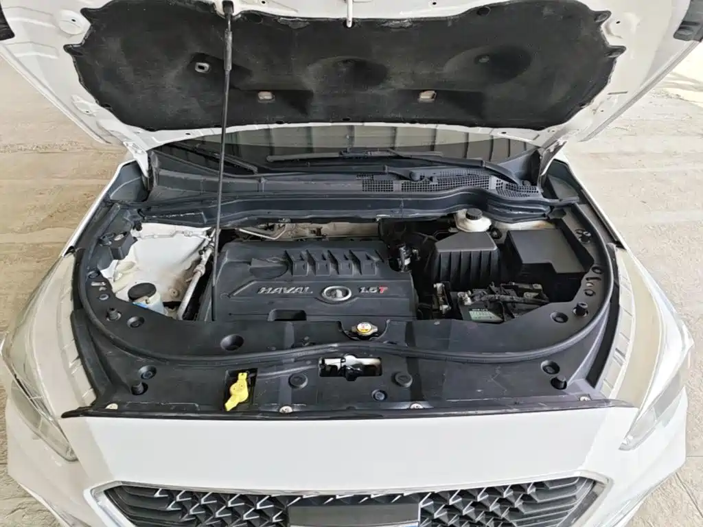 Photo 20 - Haval M6