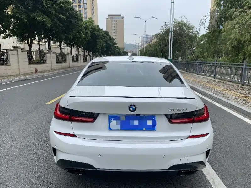 BMW 3 Series 2021 325Li M Sport Package фото 8