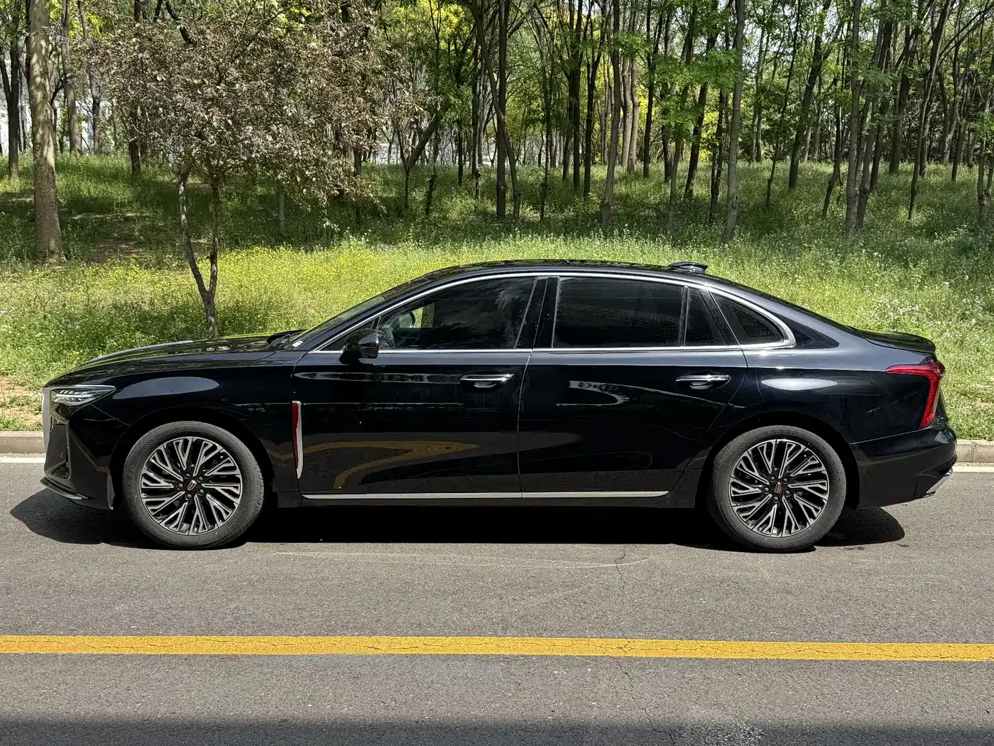 Hongqi H5 2024 2.0T Automatic Smart Connect Flag Smooth Edition фото 11