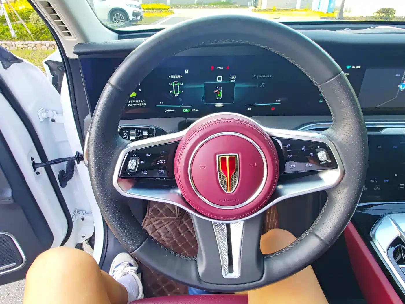 Hongqi E-HS9 2021 460km Flagship Comfort 6-seater фото 19