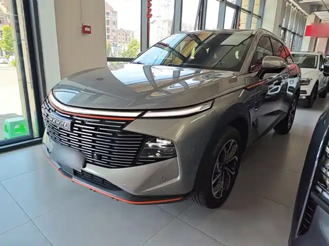 Haval Haval Shenshou 2022 2.0T Smart Enjoyment Edition