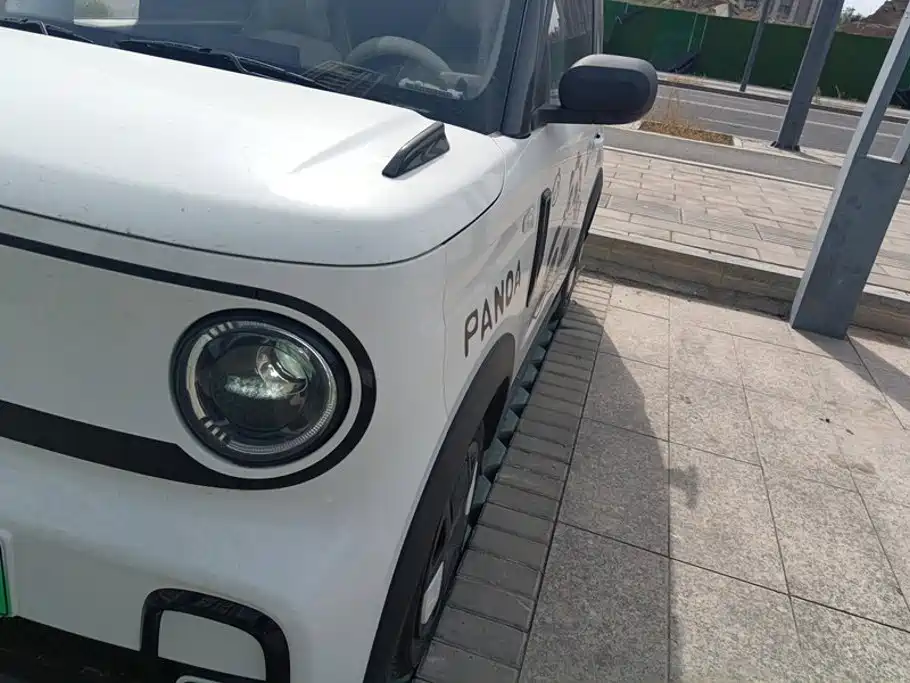 Photo 5 - Geely Galaxy Panda