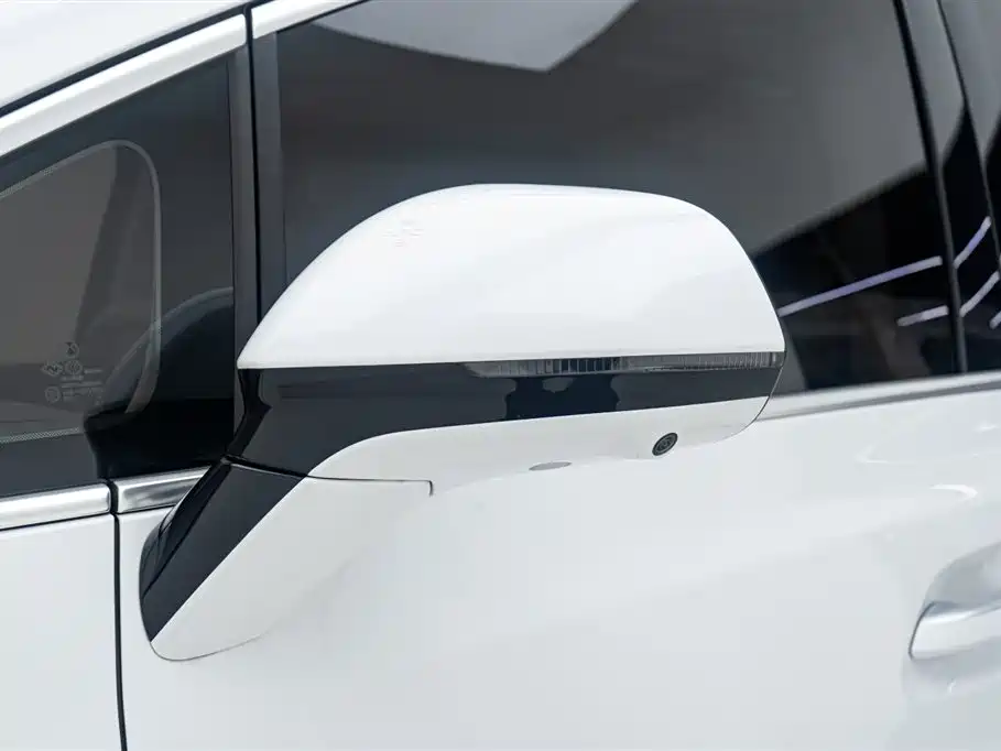Denza D9 2022 DM-i 970 AWD Flagship фото 11