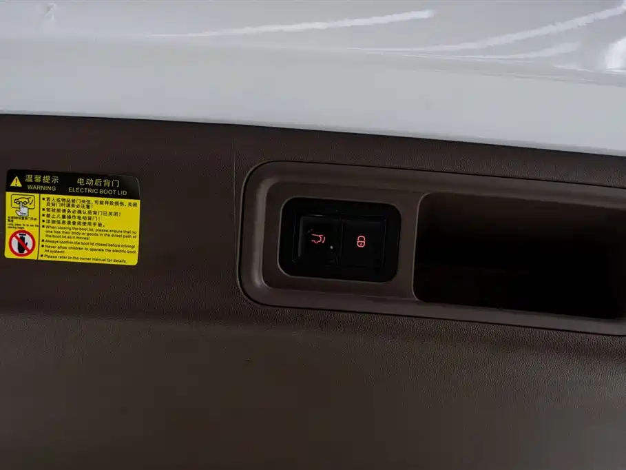 Denza D9 2022 DM-i 970 AWD Flagship фото 14