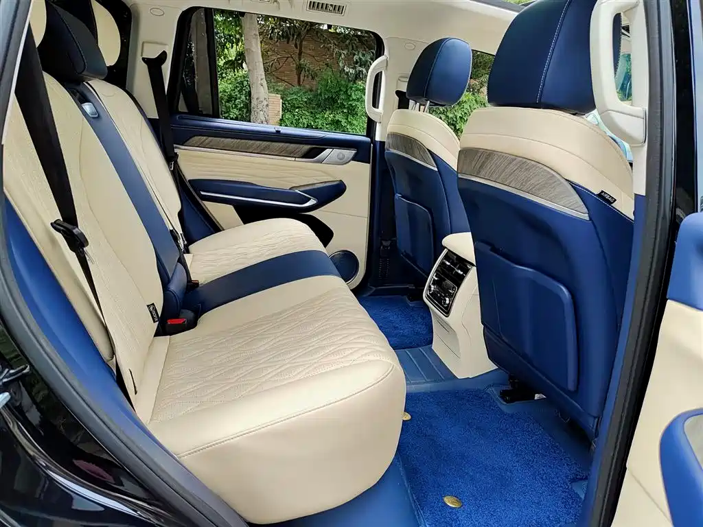 Tank 500 2022 3.0T Sport Edition Zaojing 5-Seater фото 11