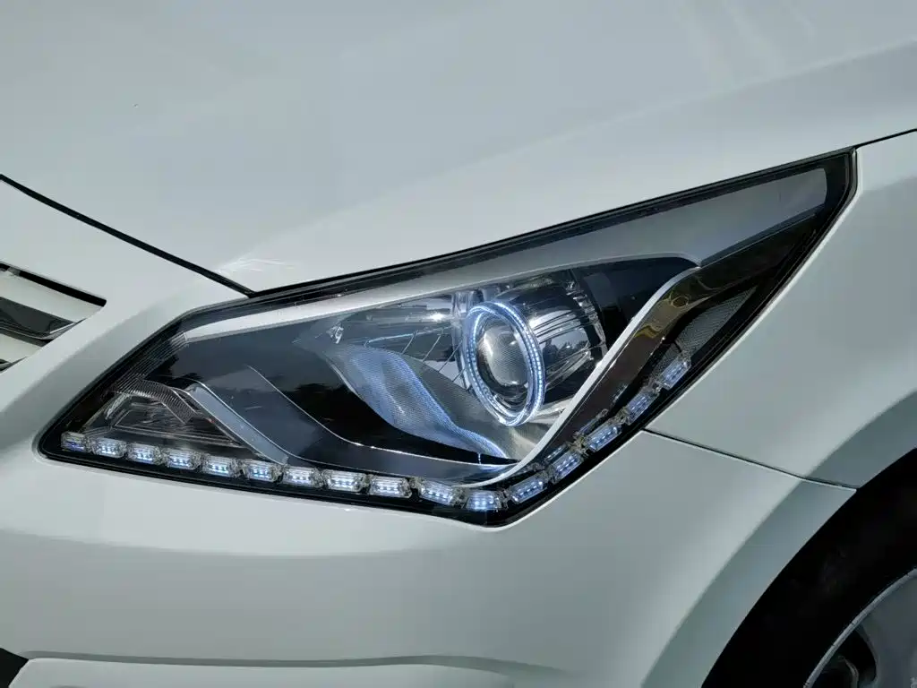 صورة 24 - Hyundai Reina