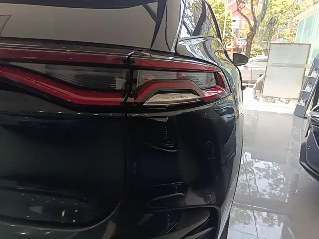 BYD Tang New Energy 2022 DM-p 215KM AWD Flagship фото 8