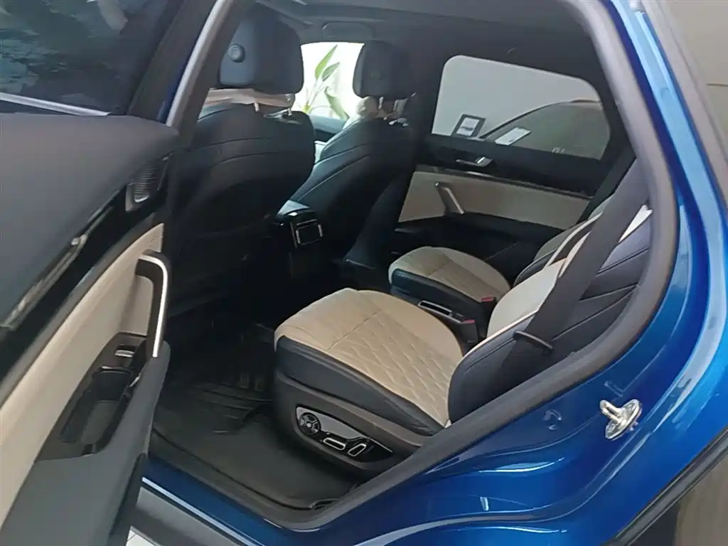 BYD Tang New Energy 2022 DM-p 215KM AWD Flagship фото 17