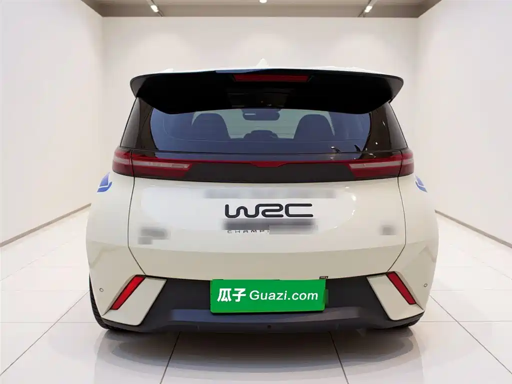 BYD Seagull 2024 Glory Edition 305km Vitality Edition фото 3