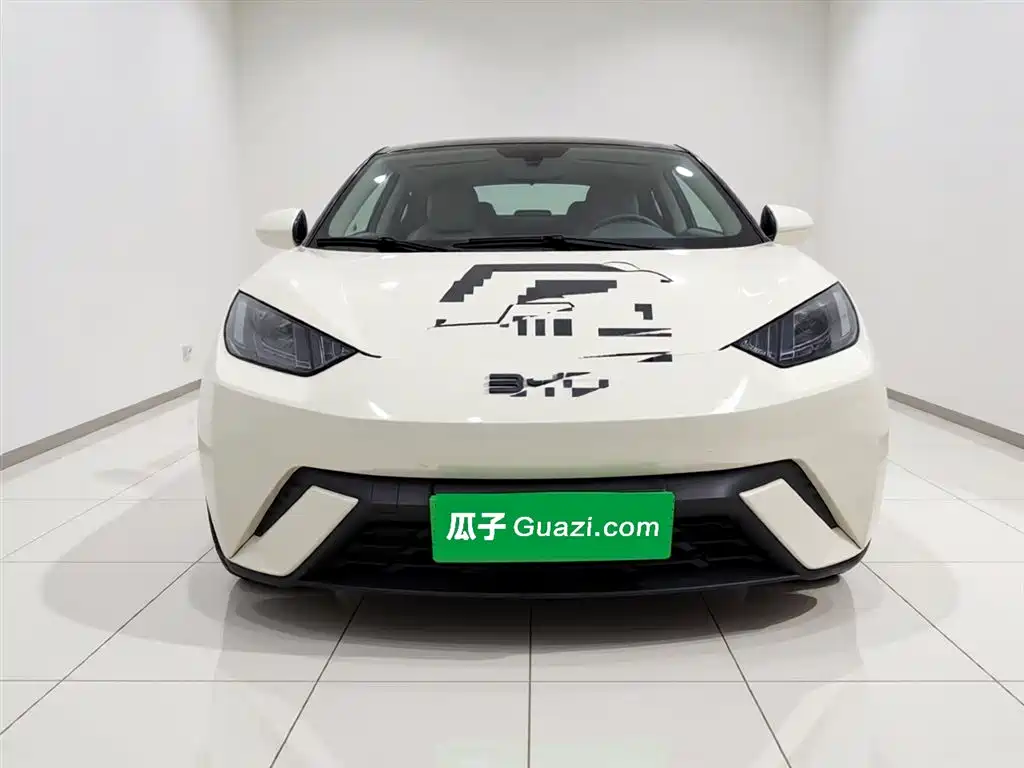 BYD Seagull 2024 Glory Edition 305km Vitality Edition фото 2