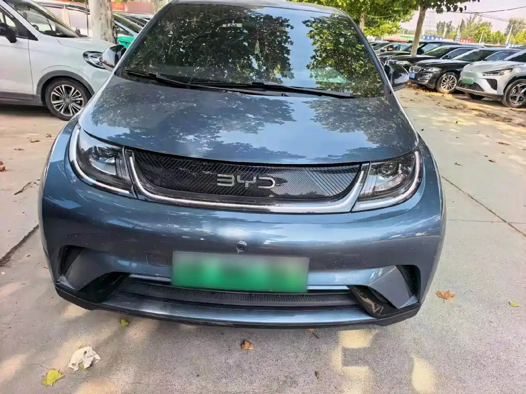 Фото 24 - BYD Dolphin