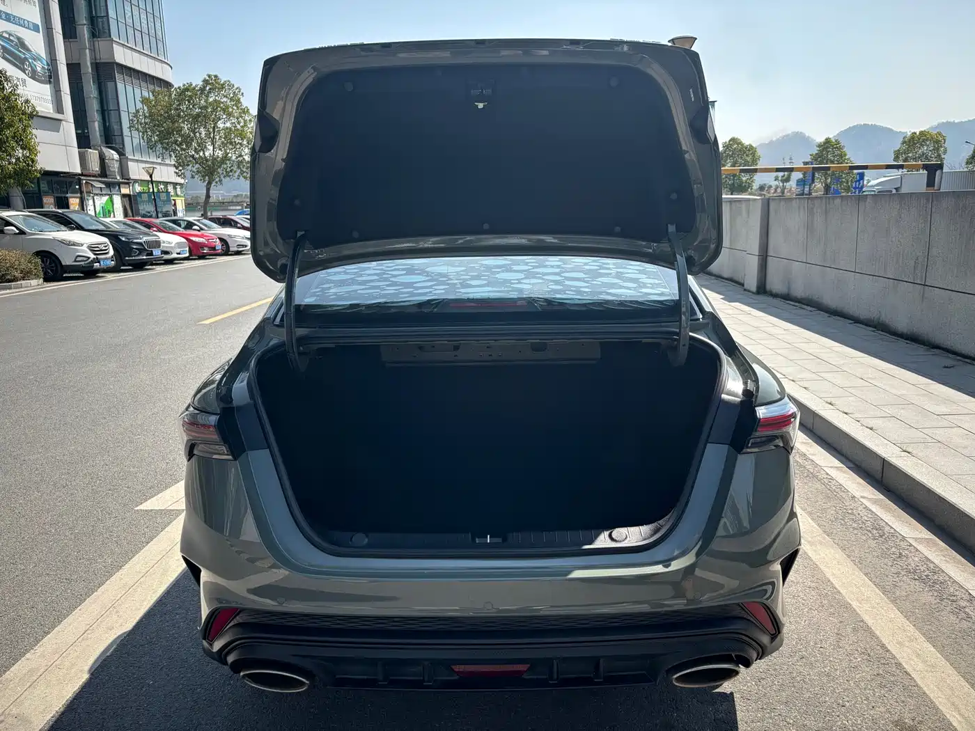 GEELY AUTOMOBILE BINRUI