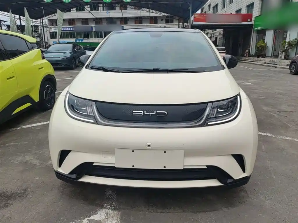 BYD Dolphin 2021 Model 405km Fashion Edition фото 3