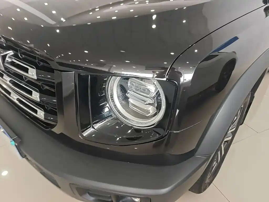 Фото 24 - Haval Dargo
