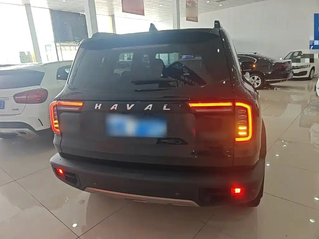 Фото 6 - Haval Dargo