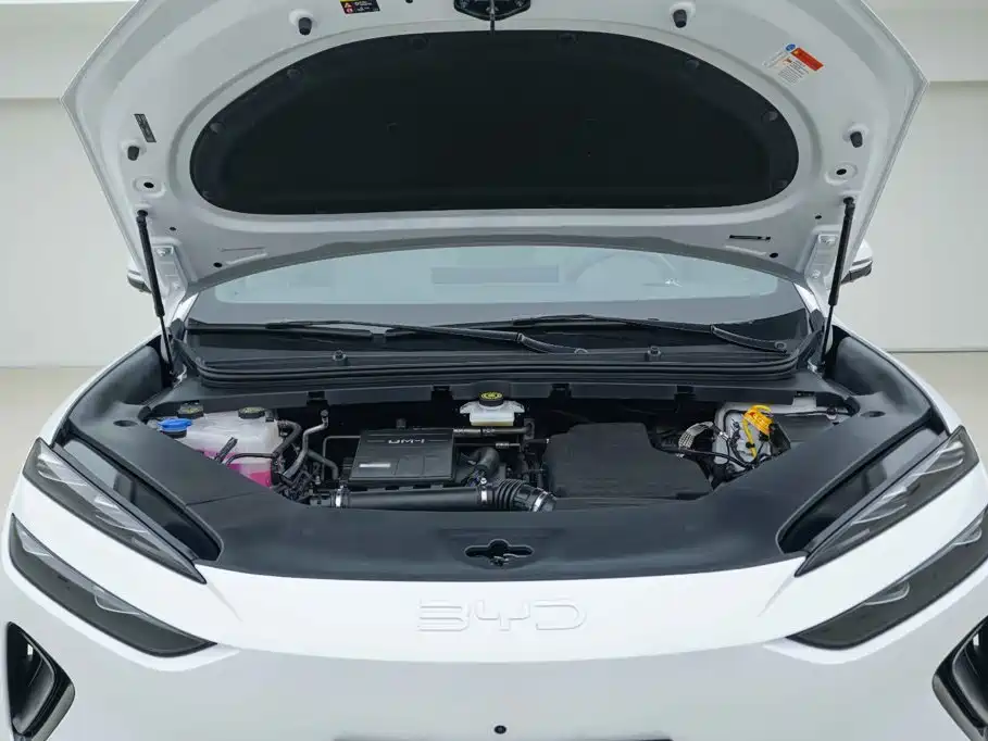 BYD Sealion 06 New Energy 2026