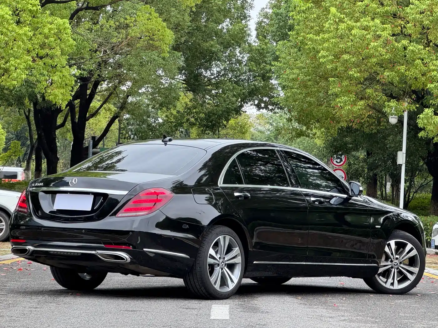 Mercedes-Benz S-Class 2020 S 350 L Premium Edition Collector's Version фото 3