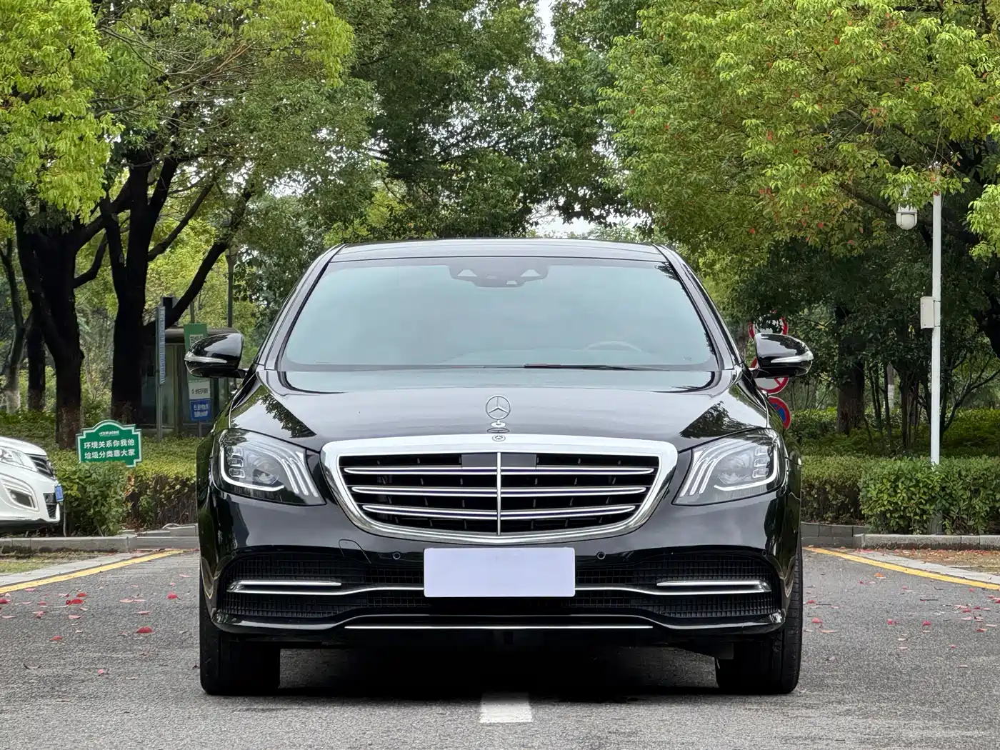 Mercedes-Benz S-Class 2020 S 350 L Premium Edition Collector's Version фото 2