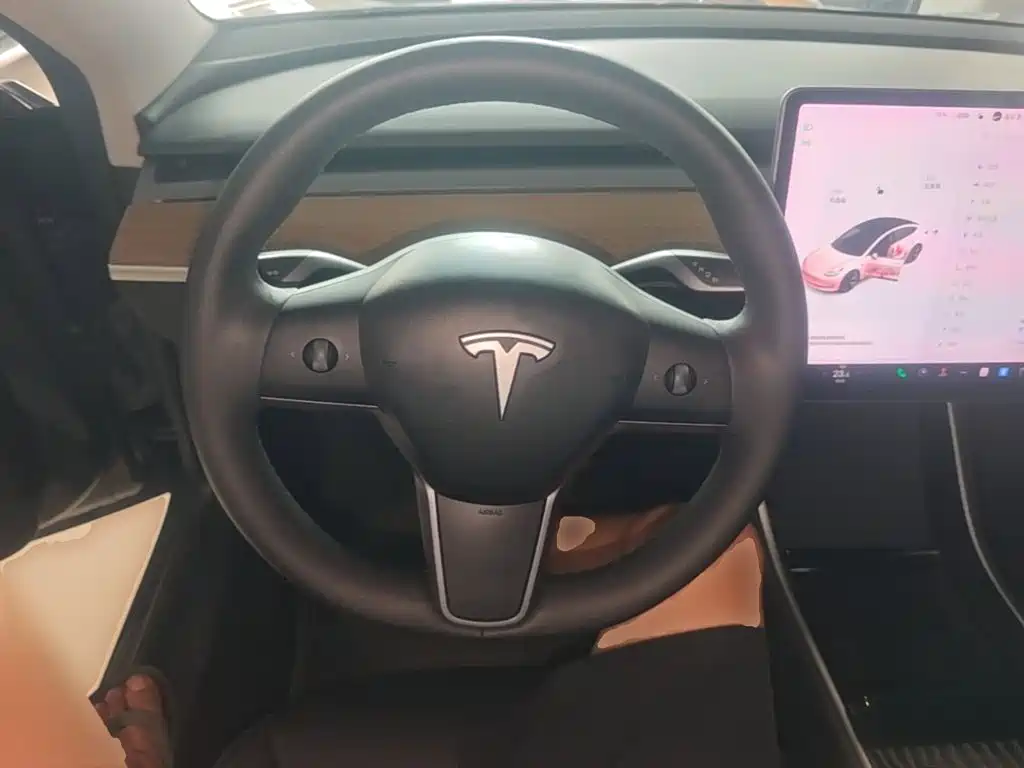 Tesla Model 3 2020 2020 Standard Range Rear-Wheel Drive Upgrade