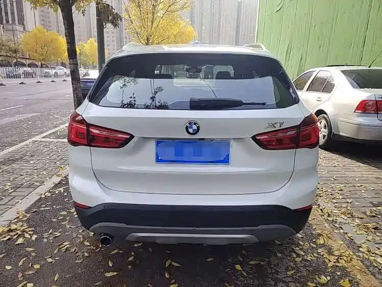 BMW X1 2018 xDrive20Li Premium Model фото 6