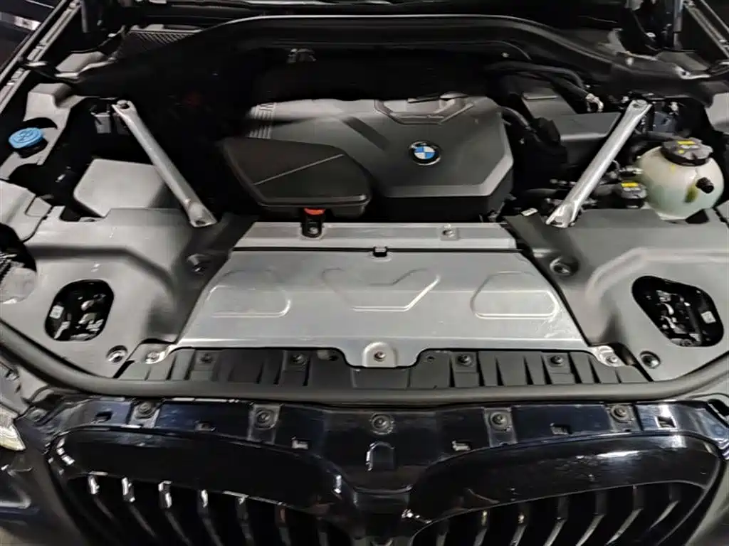 BMW X3 2022 xDrive30i Leading M Night Package фото 11