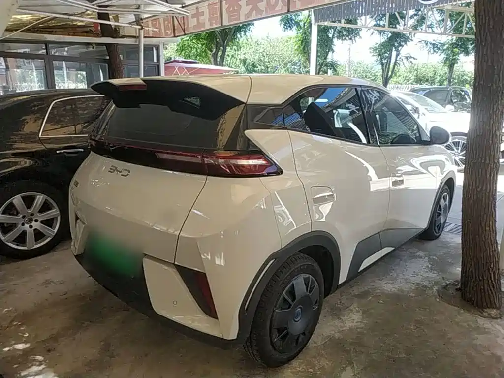 BYD Seagull 2026 2025 Smart Drive Edition 305km Vitality Version