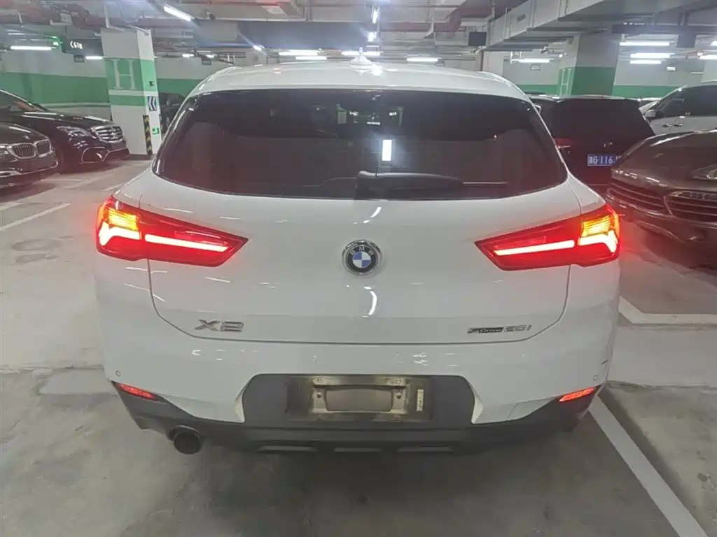 BMW X2 (Import) 2019 sDrive20i M Off-Road Package China VI фото 6