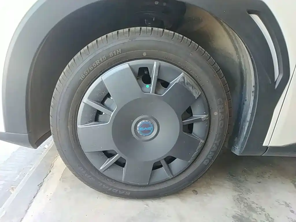 BYD Seagull 2026 2025 Smart Drive Edition 305km Vitality Version