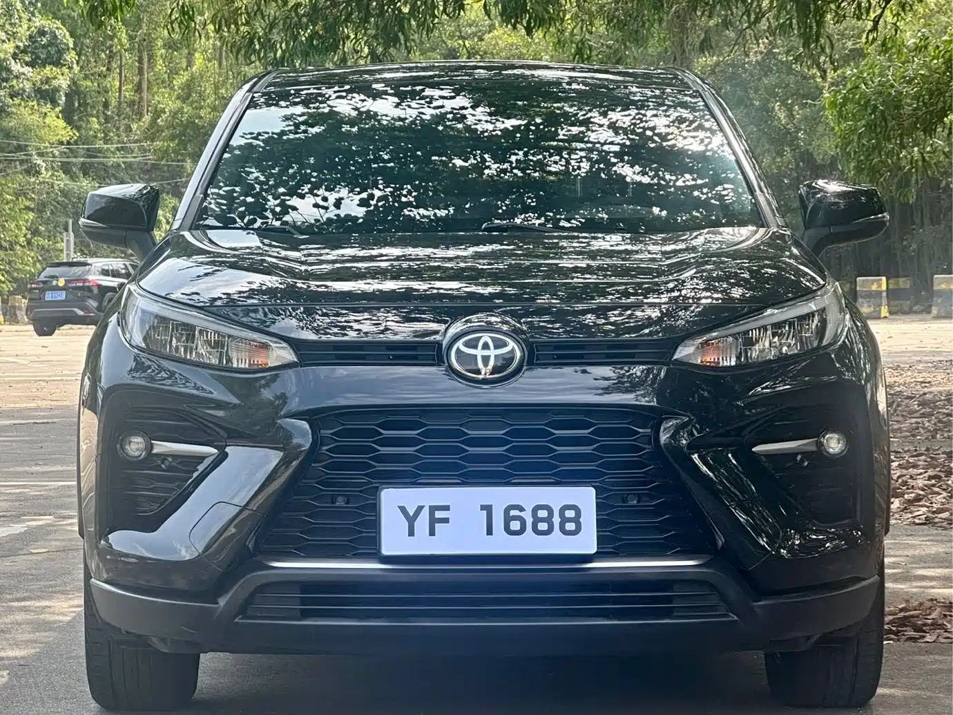 Toyota Wildlander 2020 2.0L CVT AWD Luxury Edition фото 2
