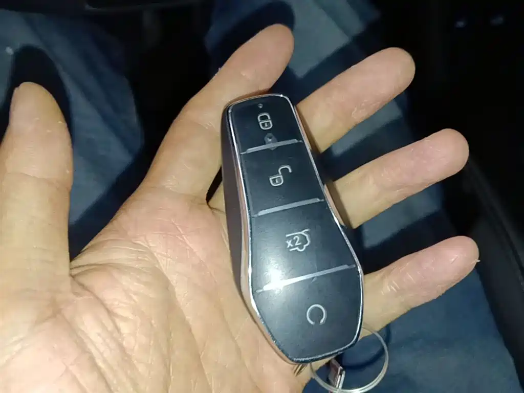 BYD Hai Shi 05 EV 2025 520KM Flagship Smart Navigation Edition фото 9