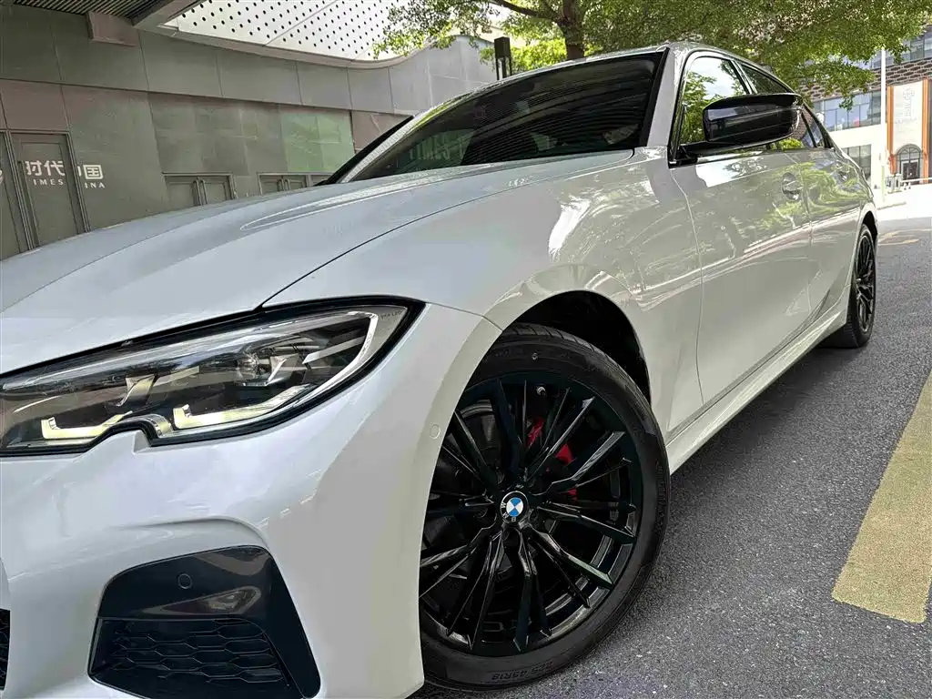 BMW 3 Series 2020 325Li M Sport Black Night Package фото 14