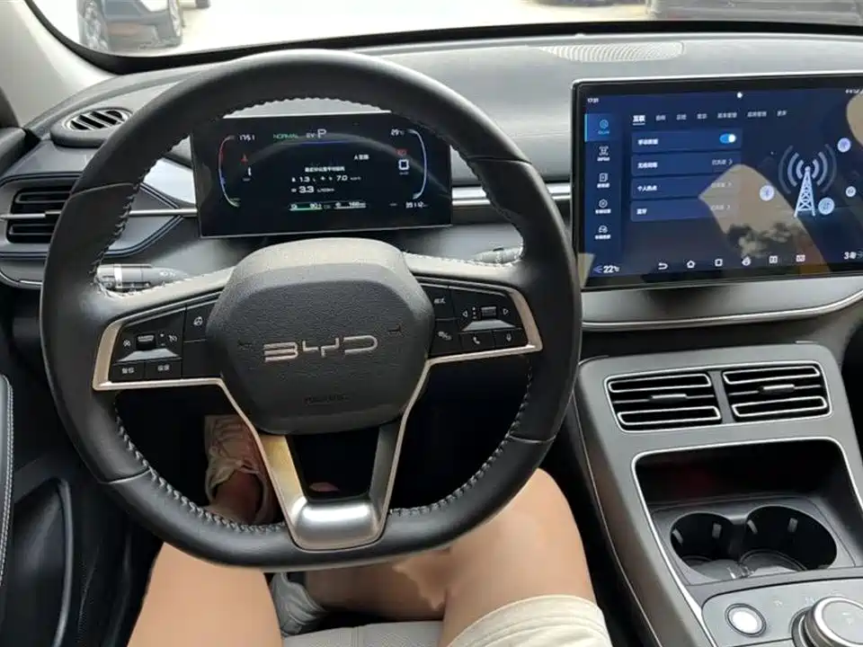 BYD Destroyer 05 2024 Glory Edition DM-i 55KM Luxury фото 9