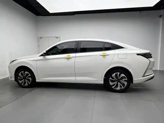 Фото 8 - Dongfeng Aeolus Yixuan