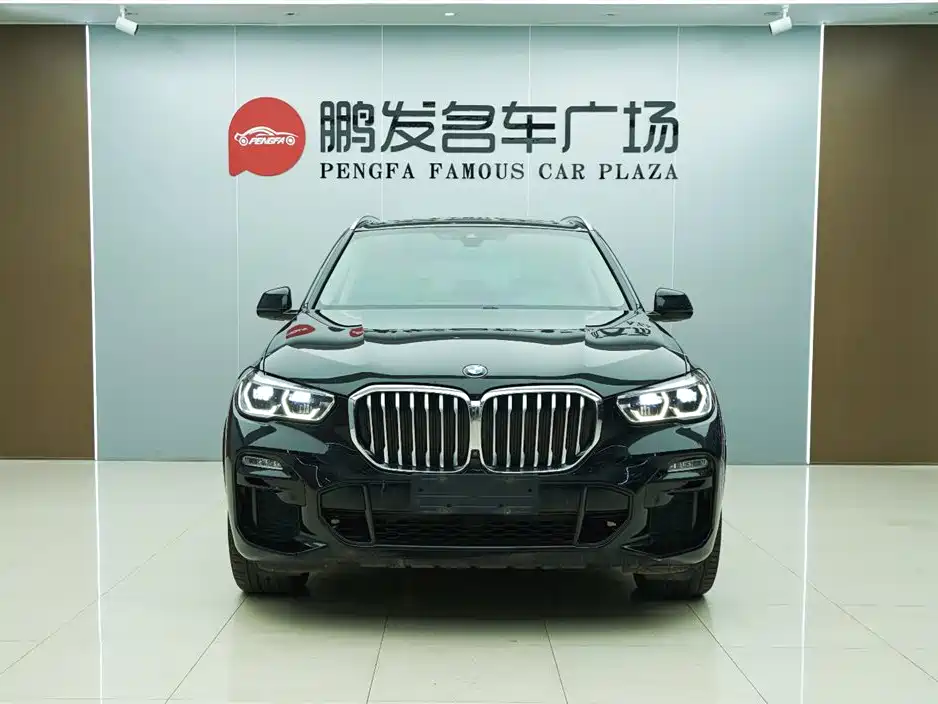 BMW X5 (Import) 2019 xDrive40i M Sport Package фото 2