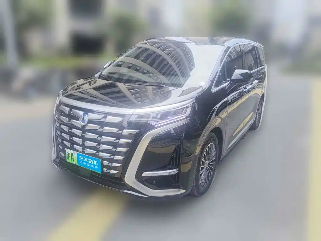 Denza D9 2026 2024 DM-i 980 AWD Premium