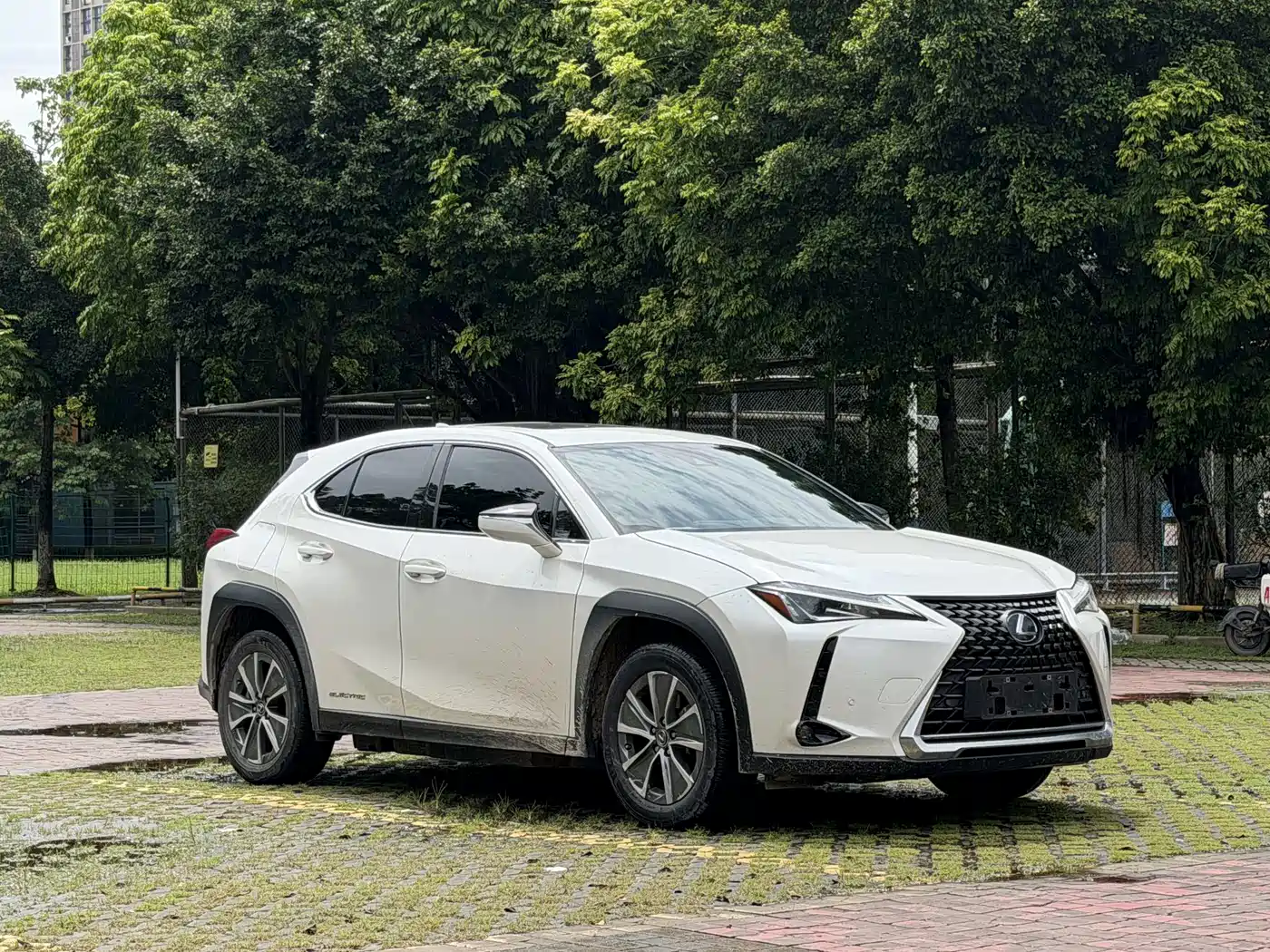 Lexus UX Electric 2023 2020 300e Pure Enjoyment Edition